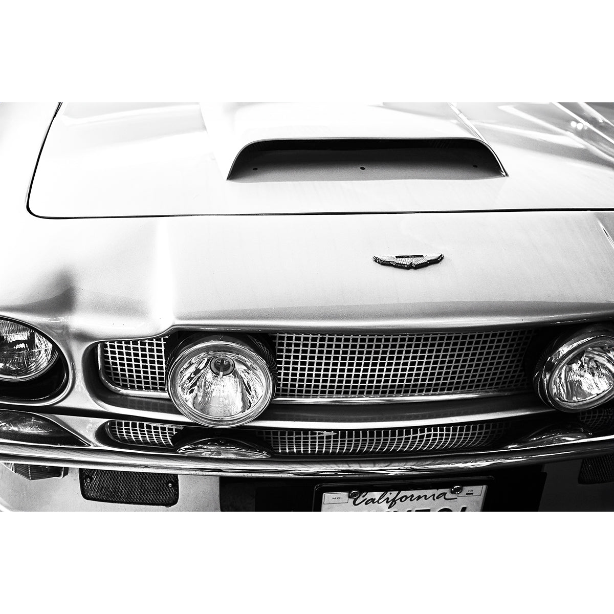 77 VANTAGE - Beauty Of Impermanence