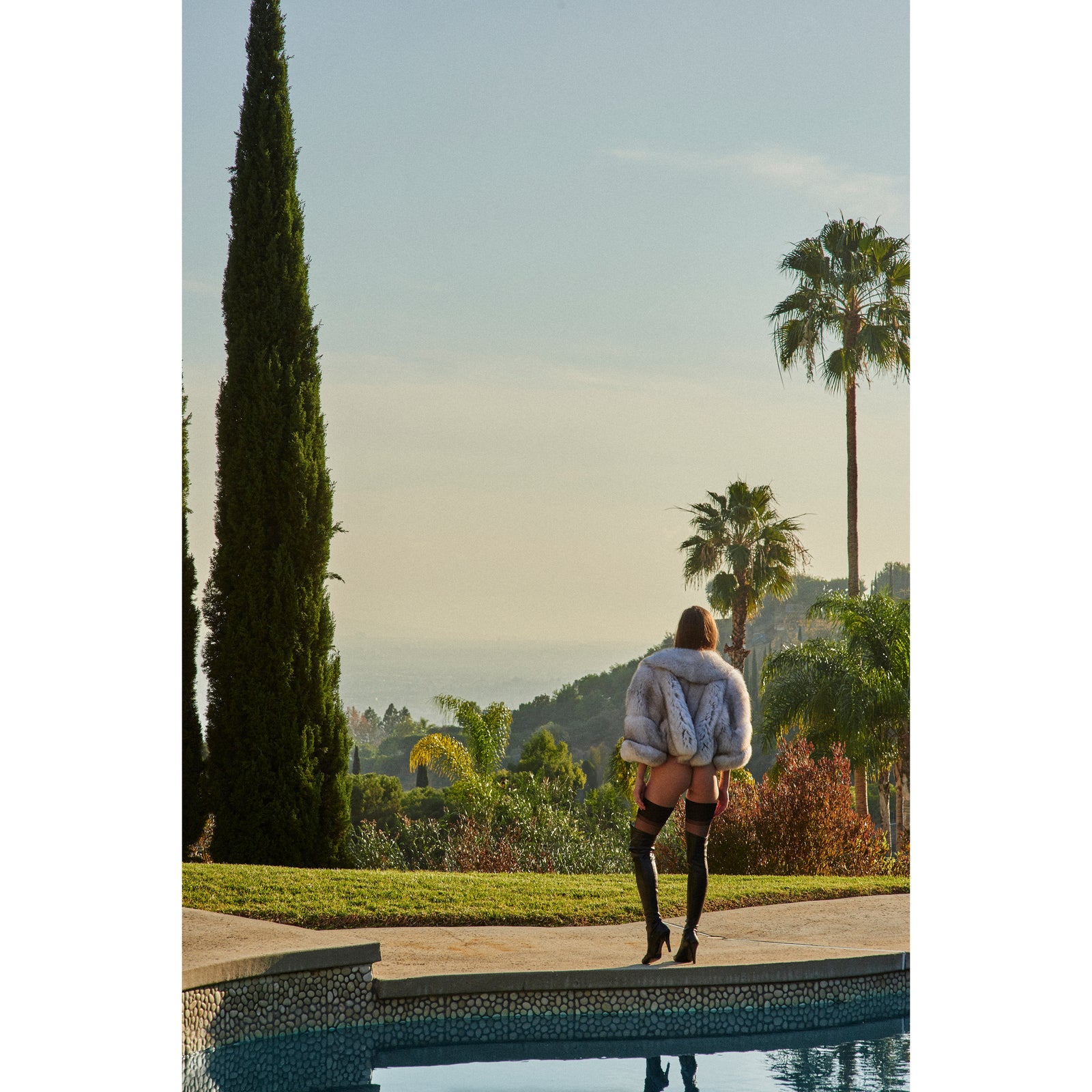 THE BIRD STREETS (VERTICAL)