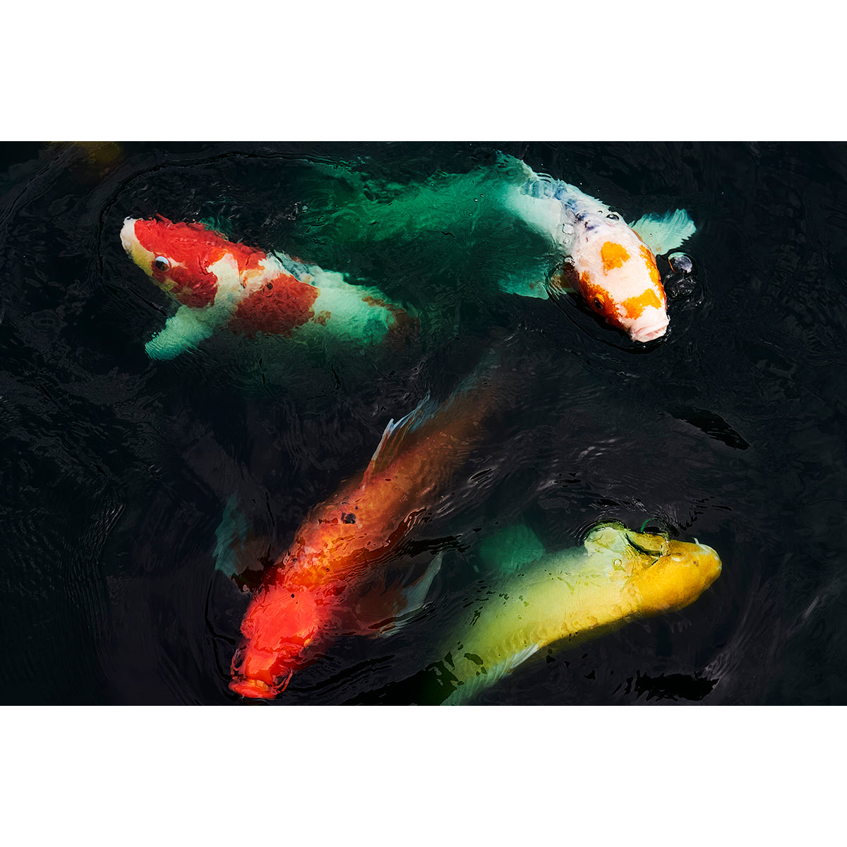 KOI