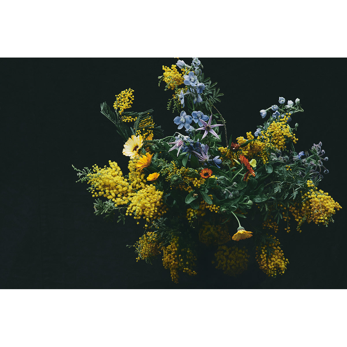 WILD BOUQUET