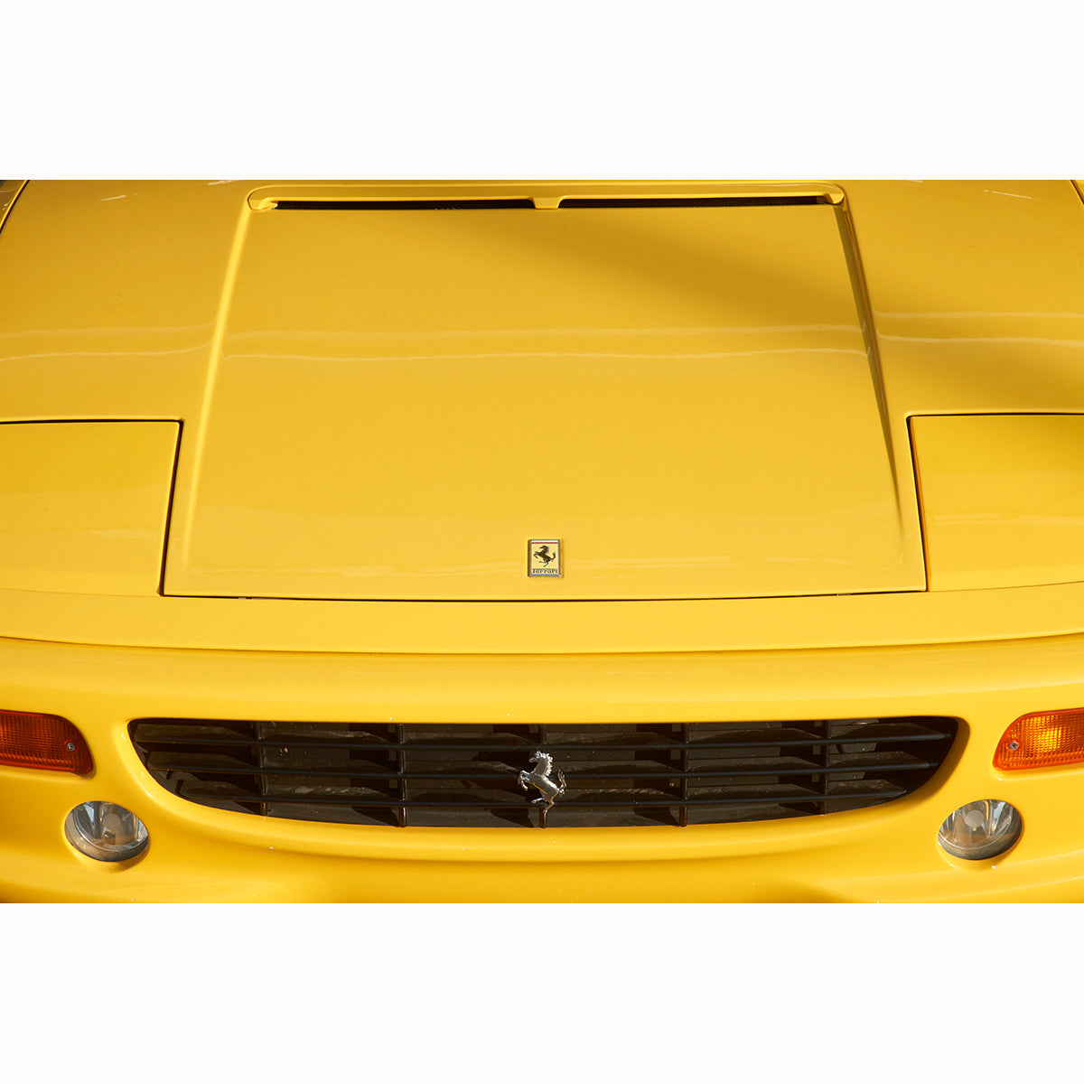 GIALLO,TESTAROSSA (horizontal)