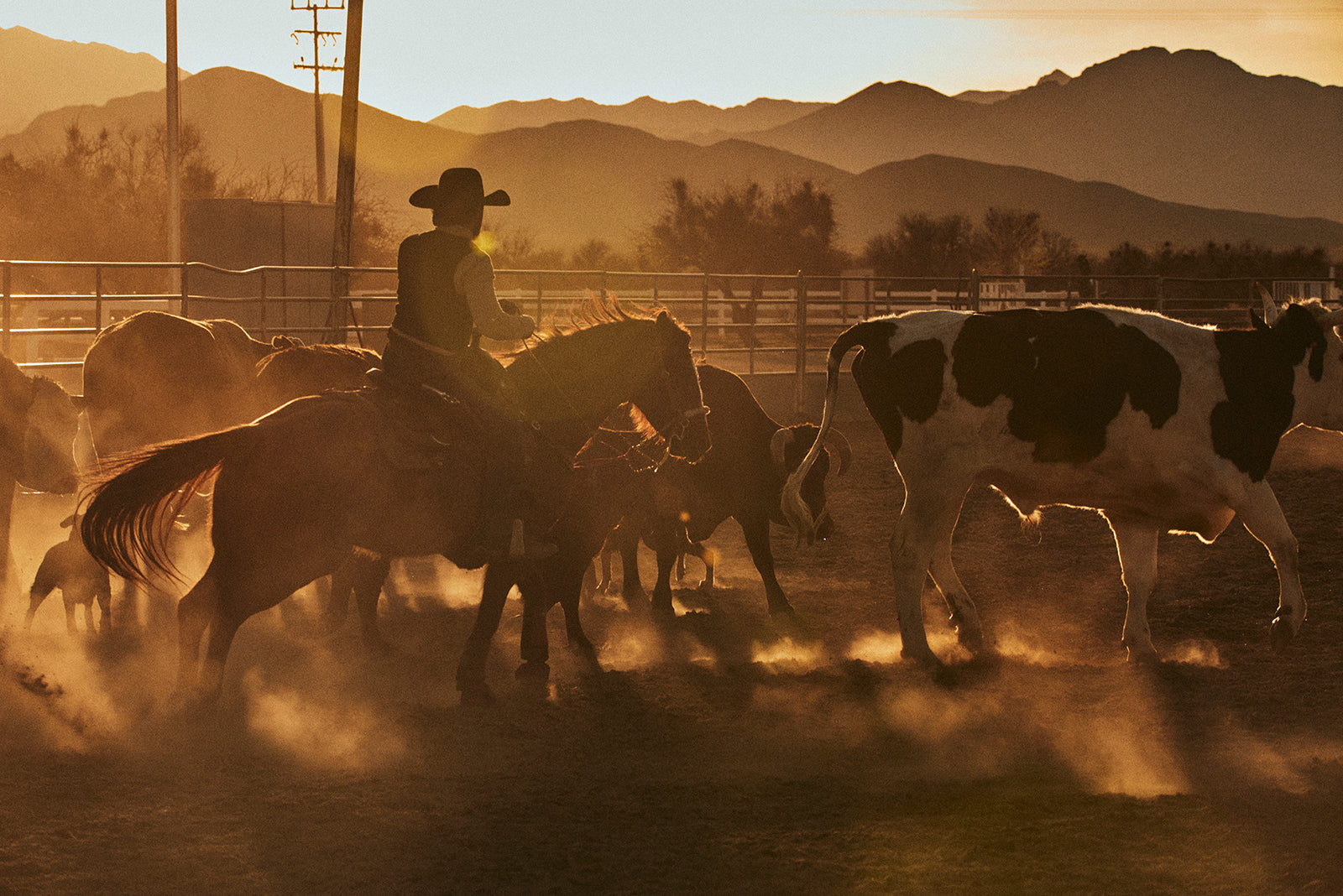 MOJAVE WRANGLERS 7