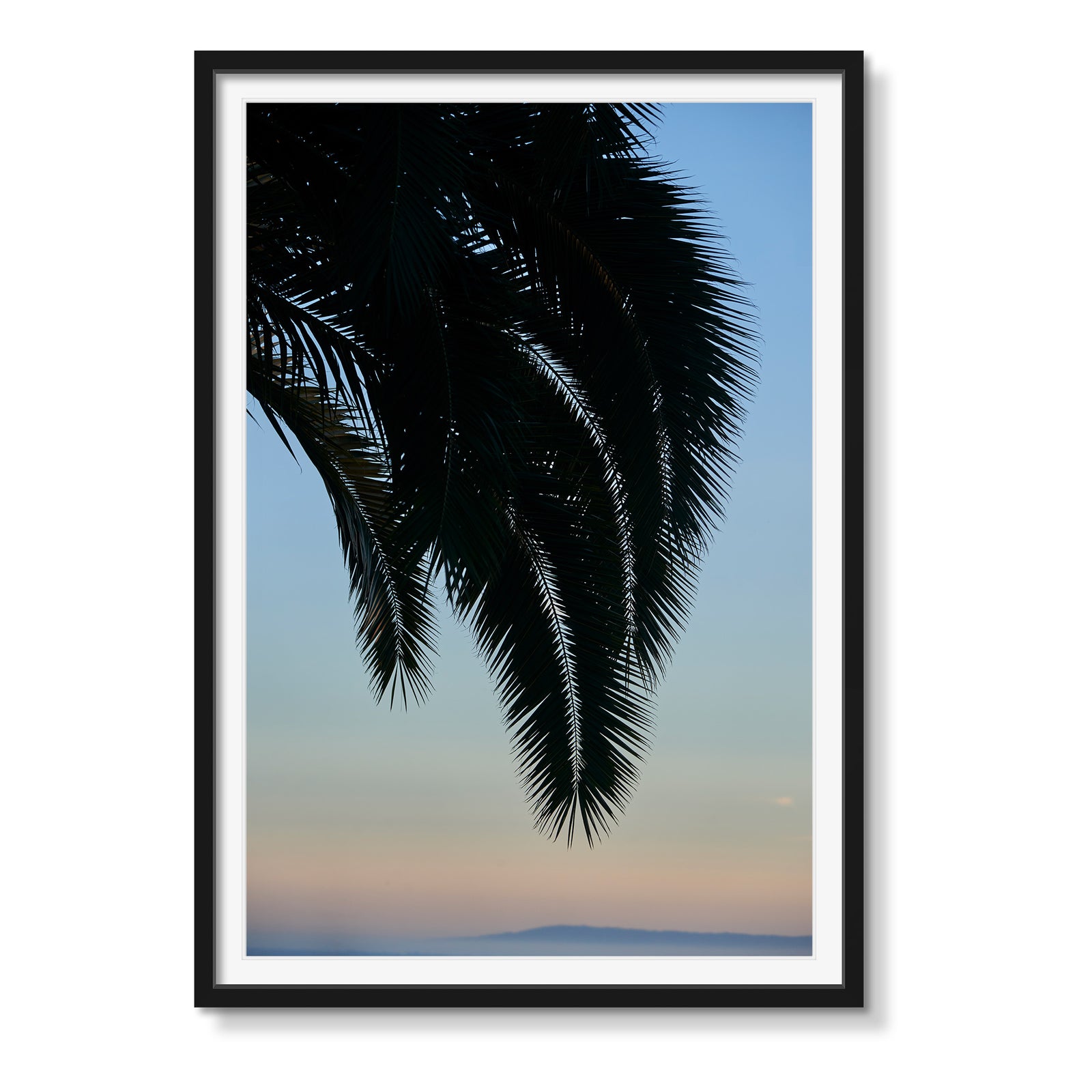PALM SUNSET