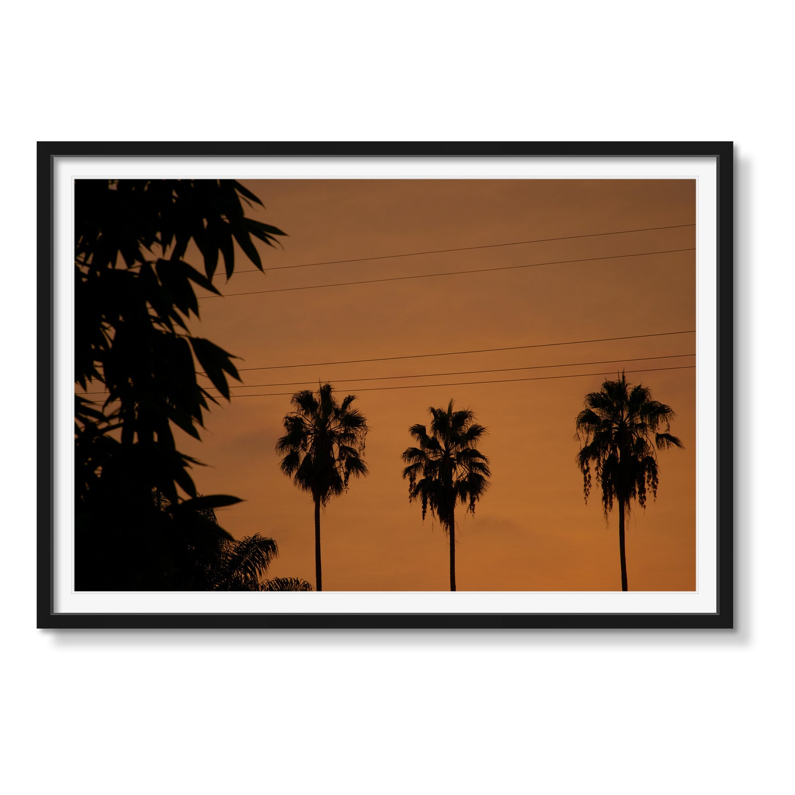 SUNSET IN HOLLYWOOD