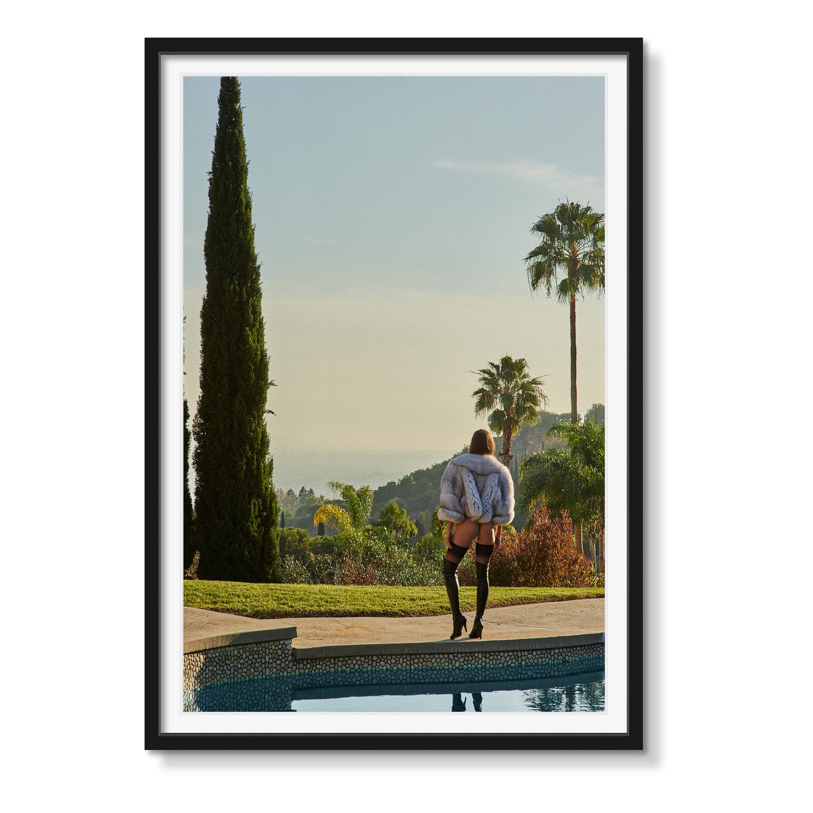 THE BIRD STREETS (VERTICAL)