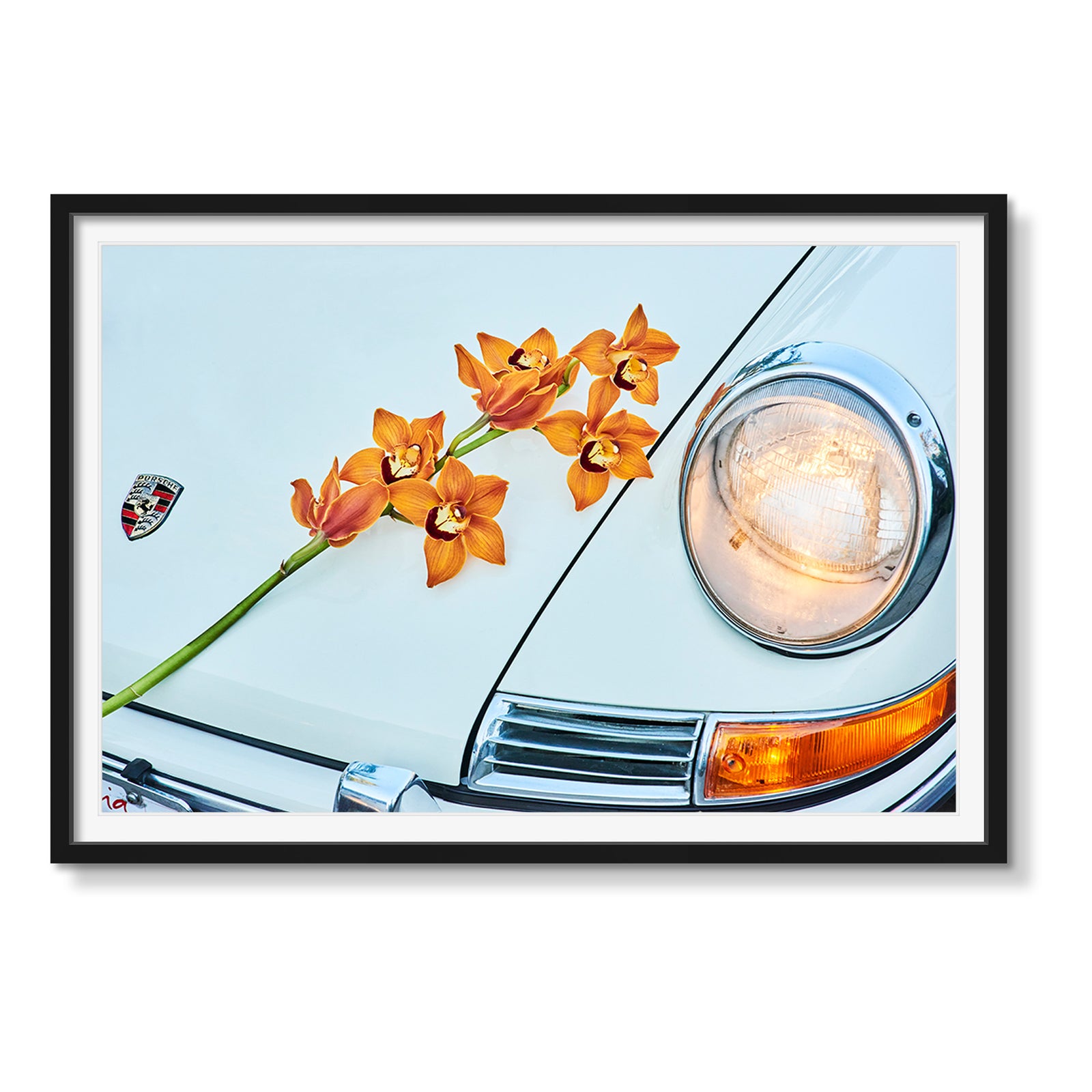 PORSCHE AND ORCHID