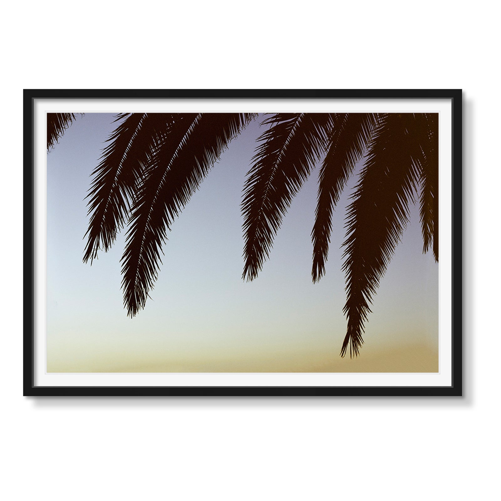 PALMS OVER YAMASHIRO