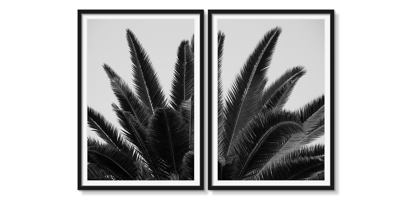 PALM DIPTYCH