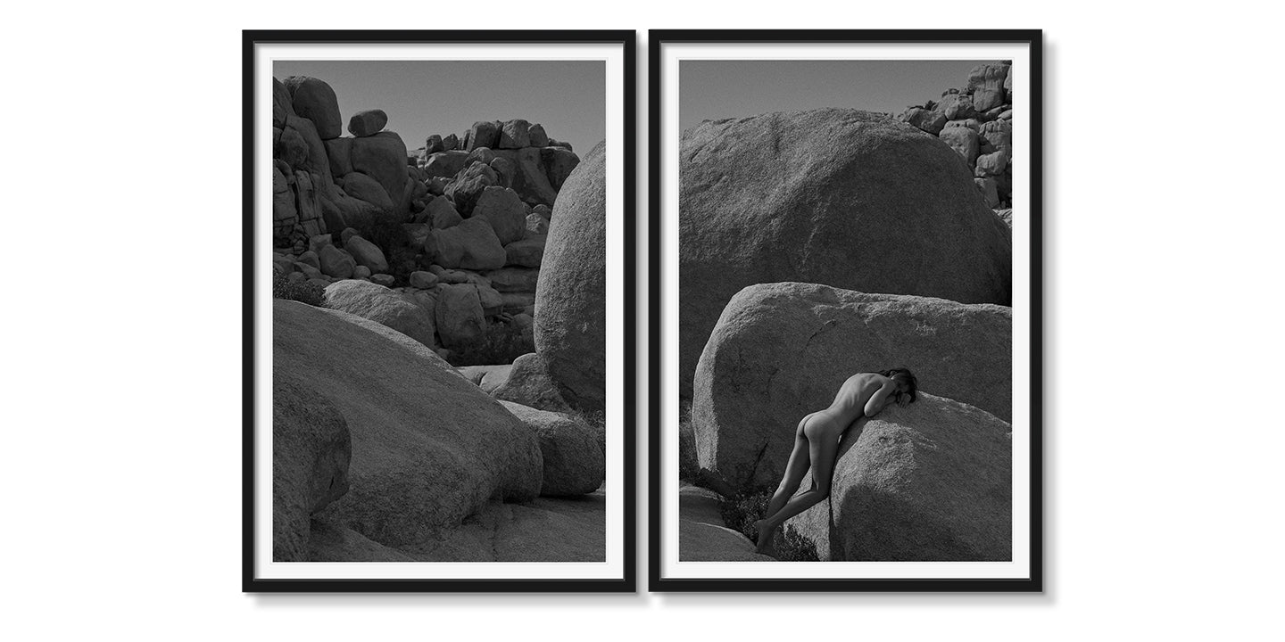 JOSHUA TREE STUDY DIPTYCH