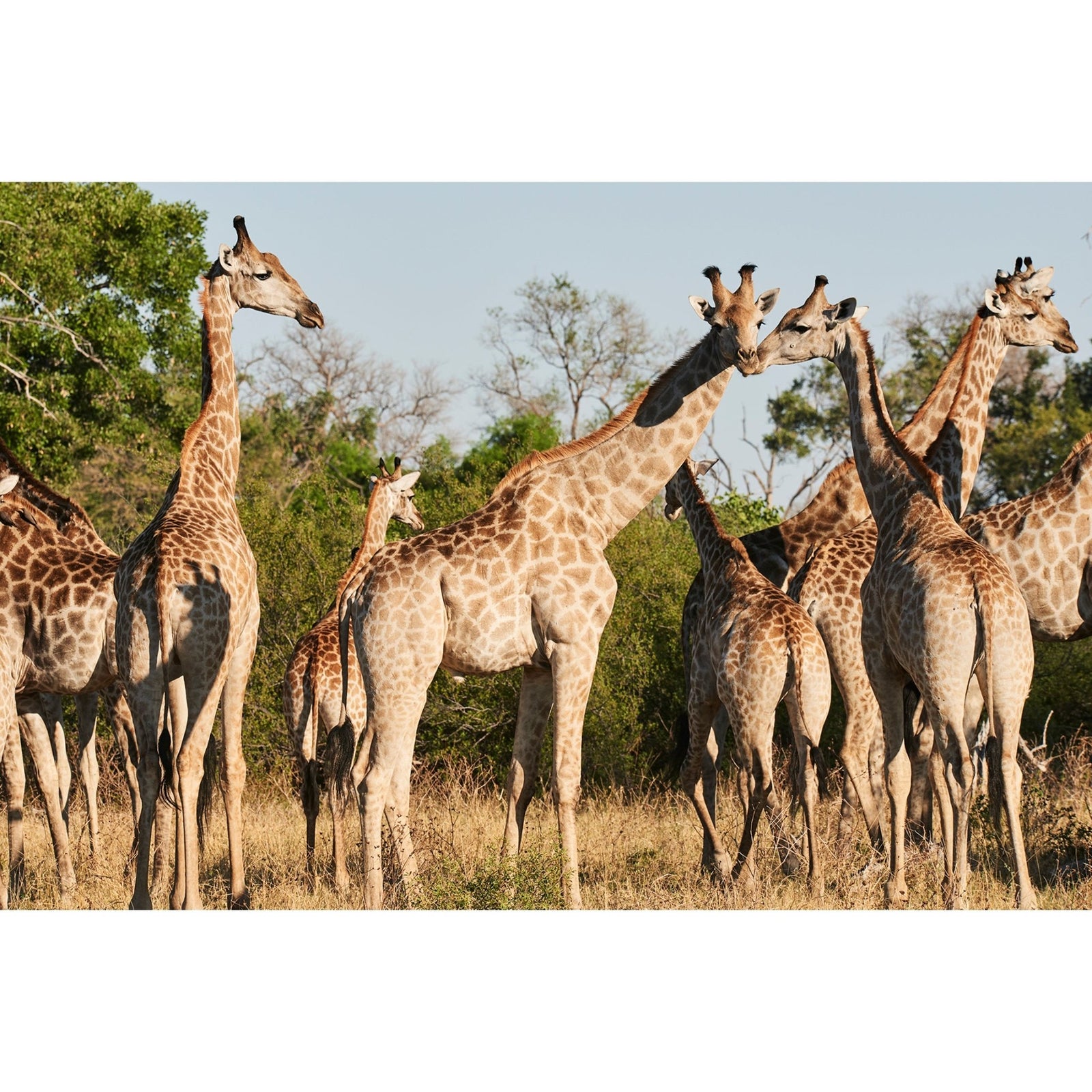 A JOURNEY - Beauty Of Impermanence