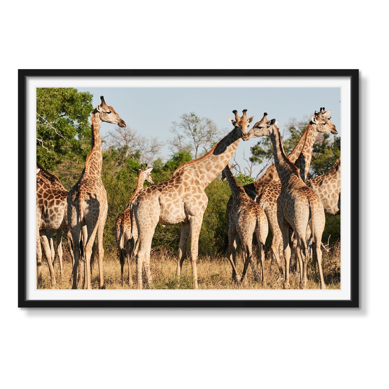 A JOURNEY - Beauty Of Impermanence