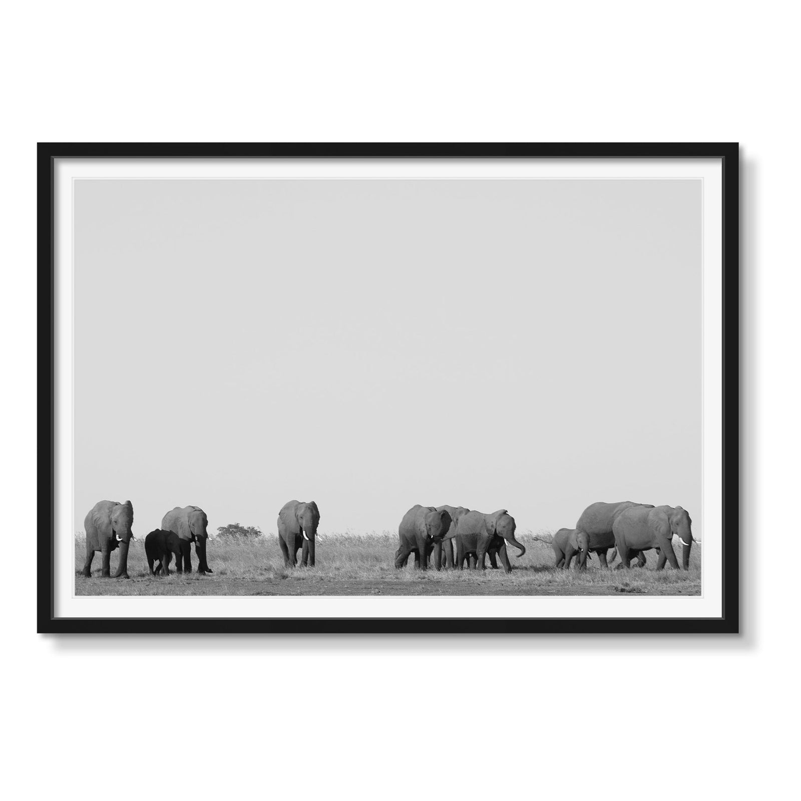 A PARADE - Beauty Of Impermanence