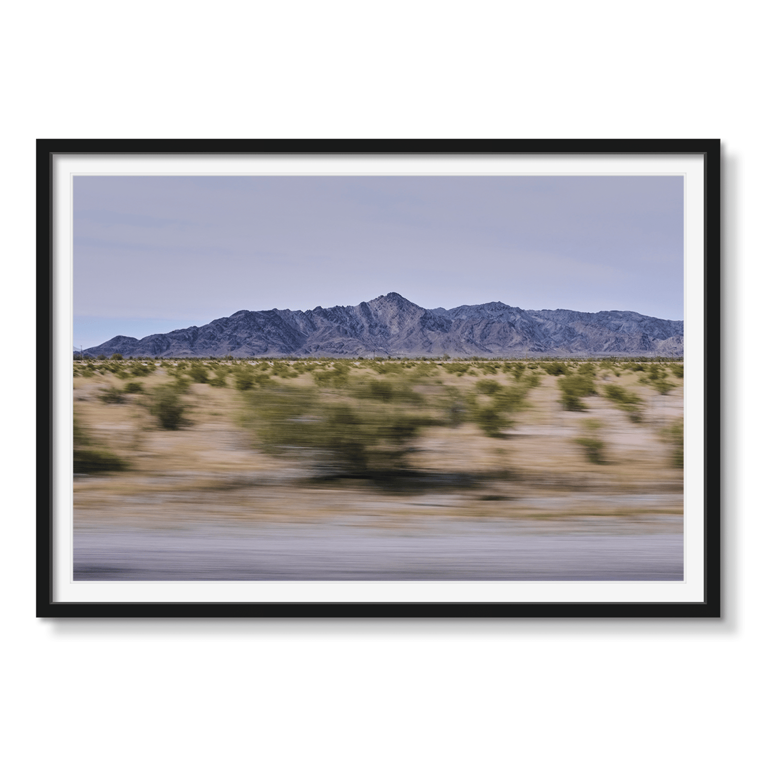 ARIZONA BOARDER - Beauty Of Impermanence