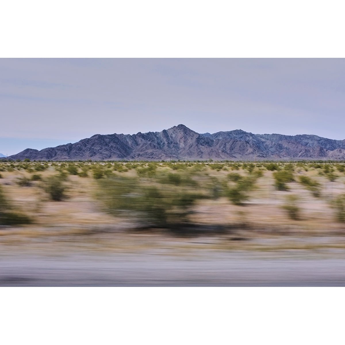 ARIZONA BOARDER - Beauty Of Impermanence