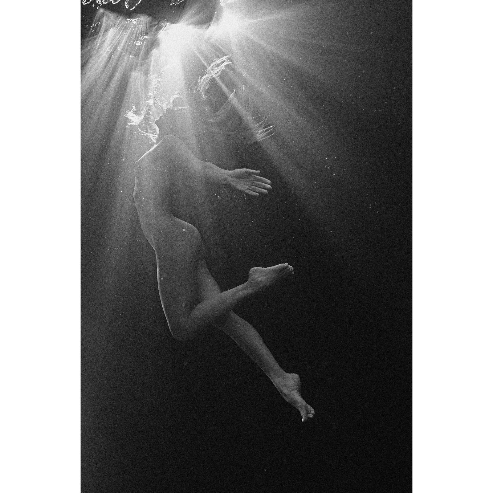 ASCENSION 3 - Beauty Of Impermanence