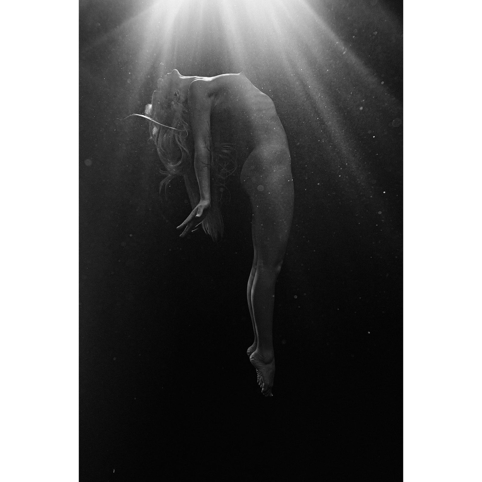 ASCENSION 5 - Beauty Of Impermanence