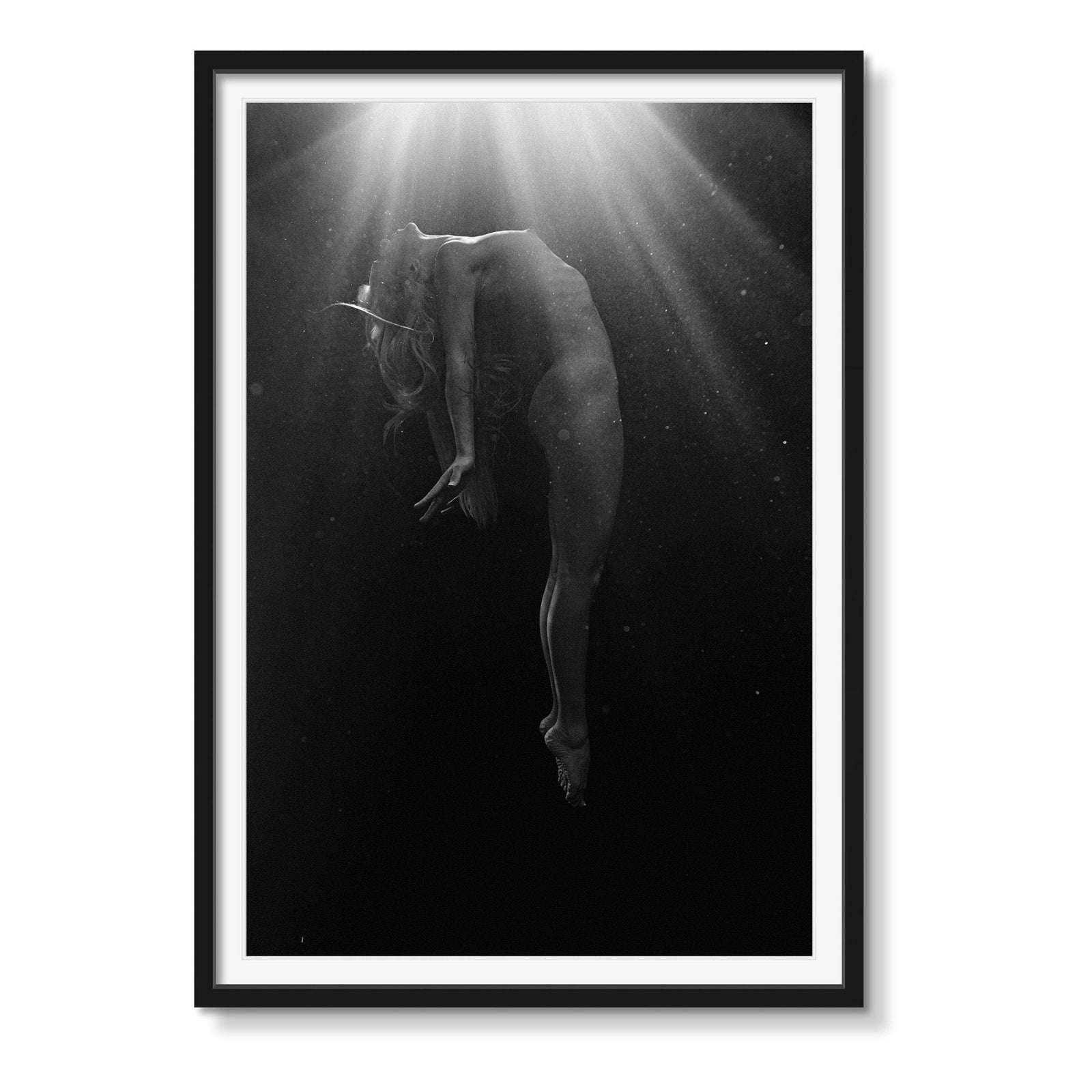 ASCENSION 5 - Beauty Of Impermanence