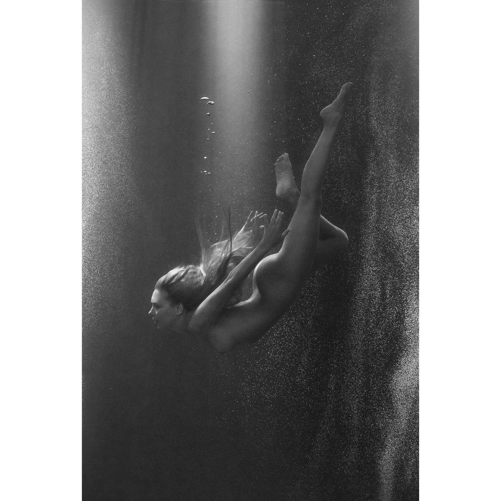 ASCENSION 6 - Beauty Of Impermanence