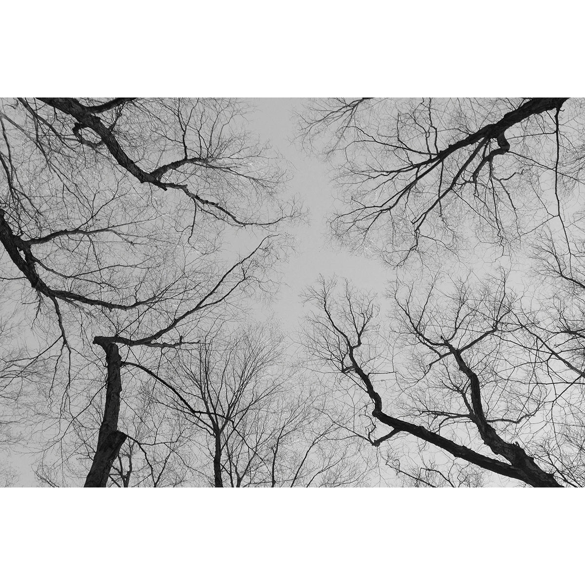 AUTUMN IN BEDFORD - Beauty Of Impermanence