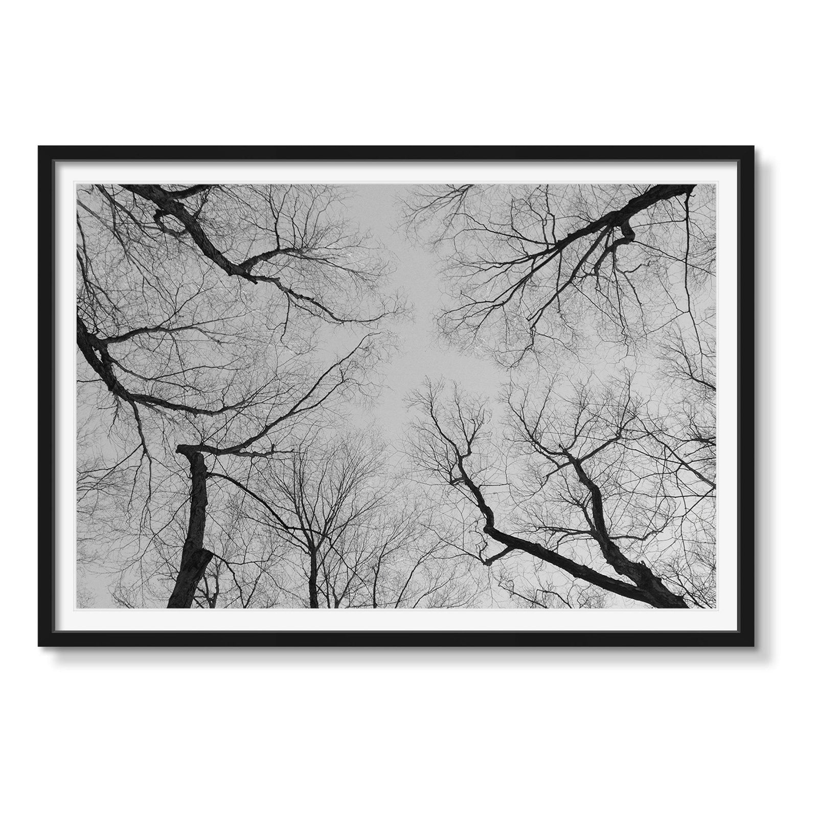 AUTUMN IN BEDFORD - Beauty Of Impermanence