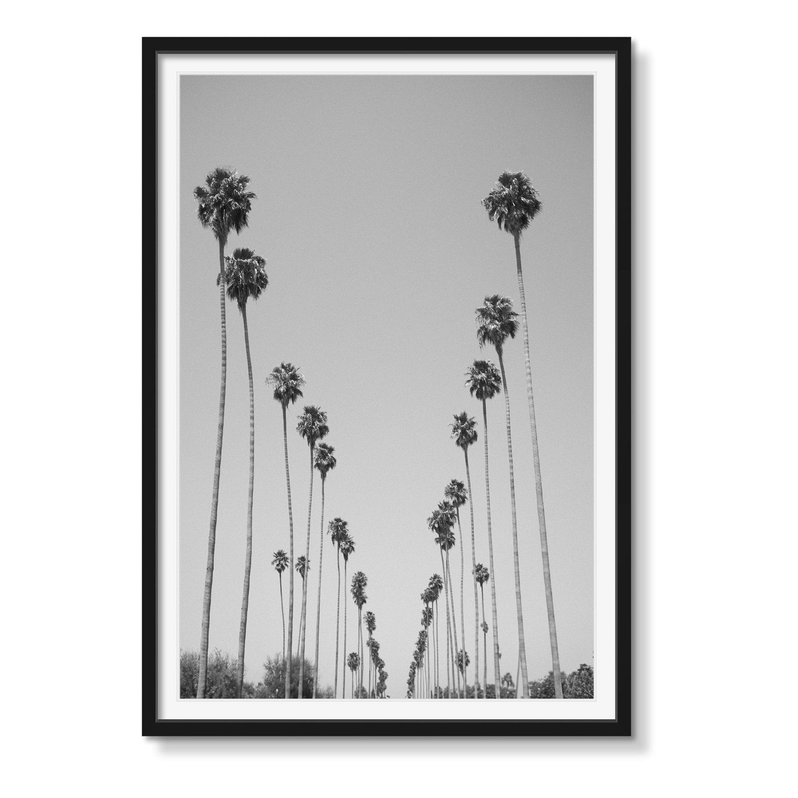 BH SOCIAL - Beauty Of Impermanence