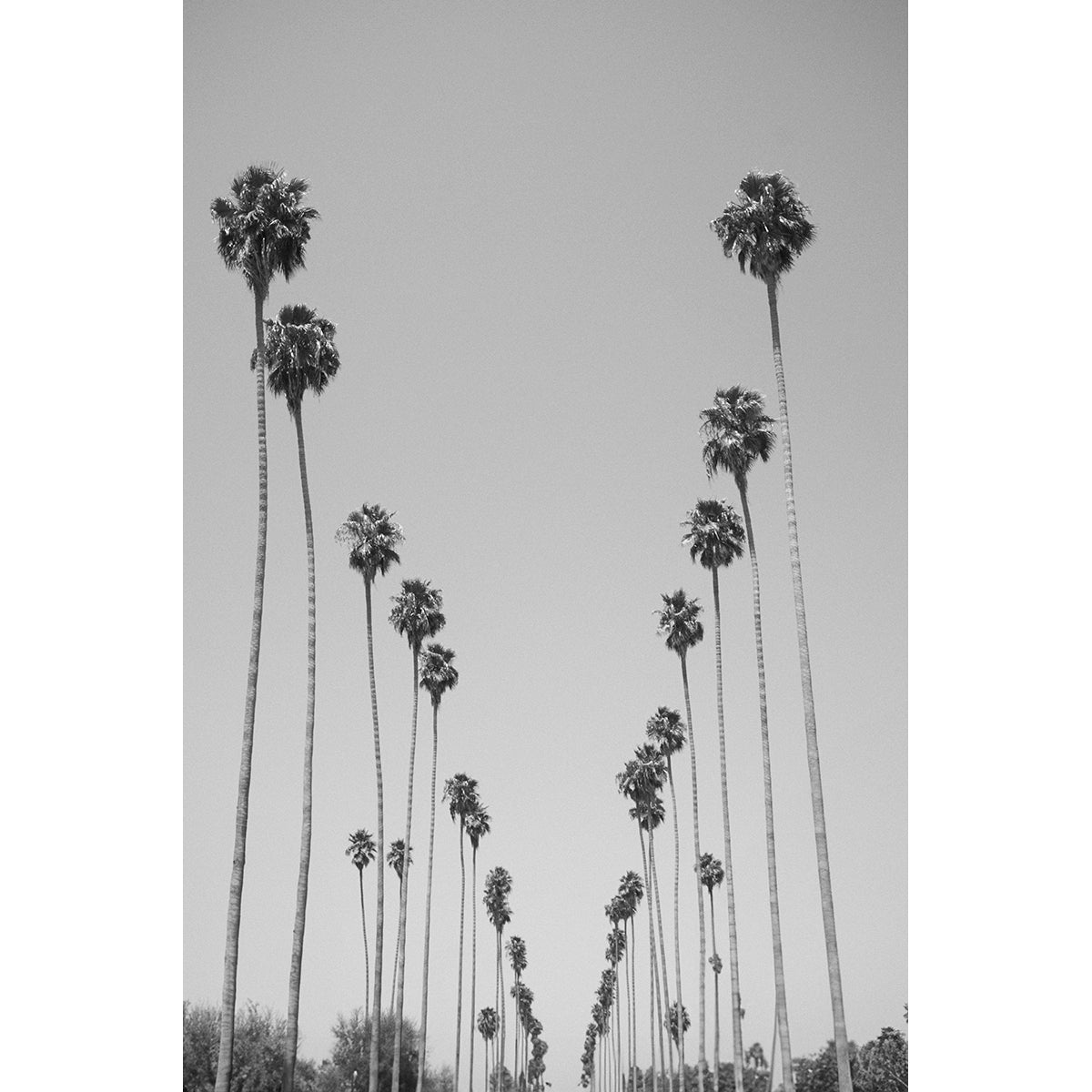 BH SOCIAL - Beauty Of Impermanence