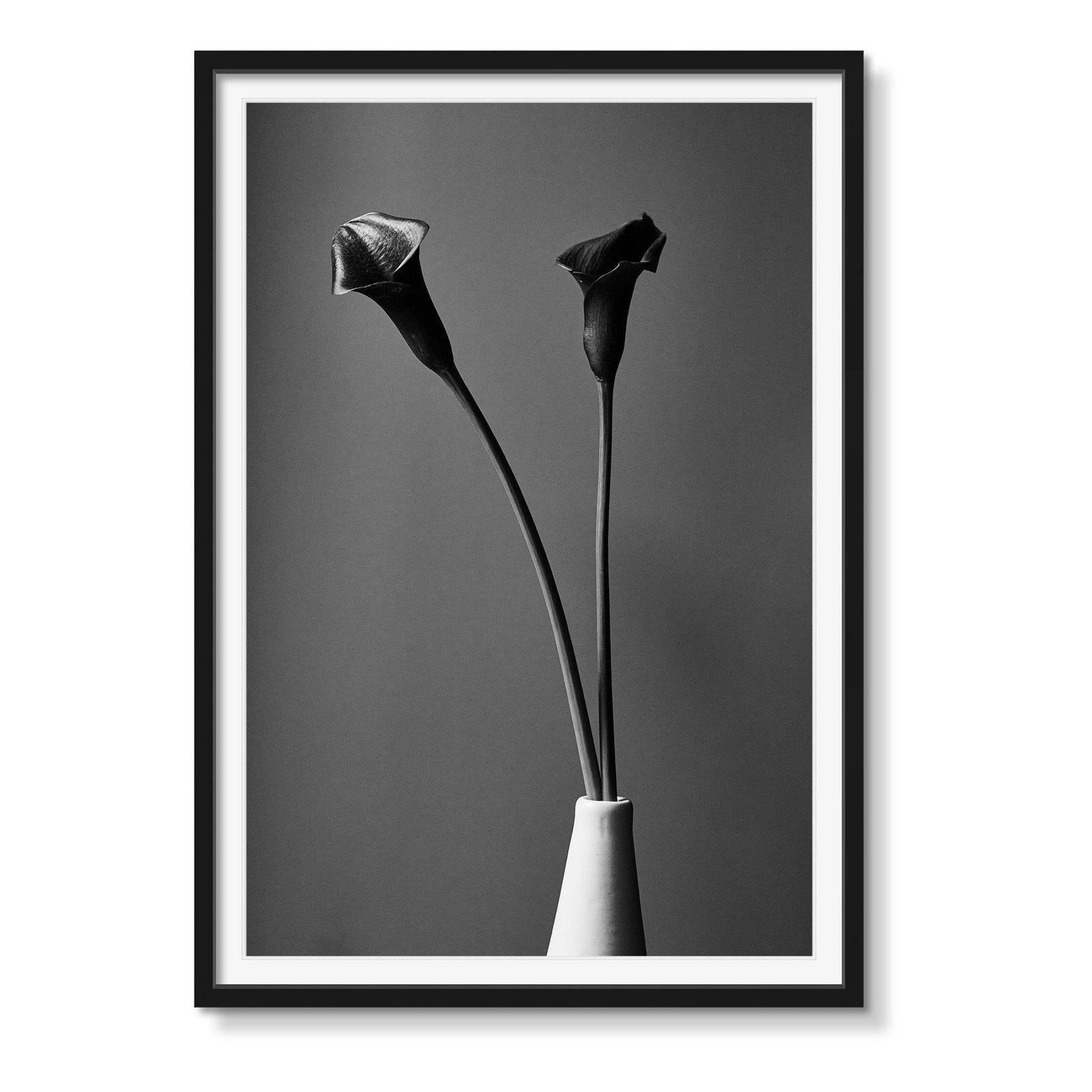 BLACK CALA - Beauty Of Impermanence