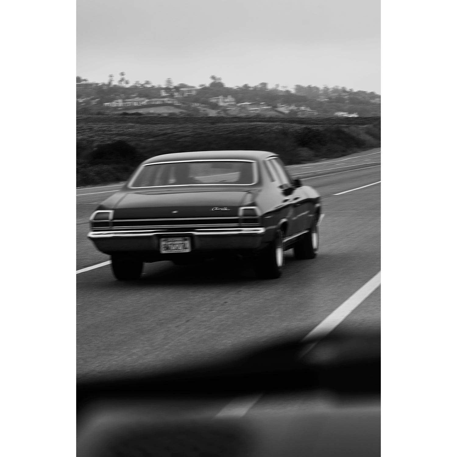 CHEVELLE - Beauty Of Impermanence