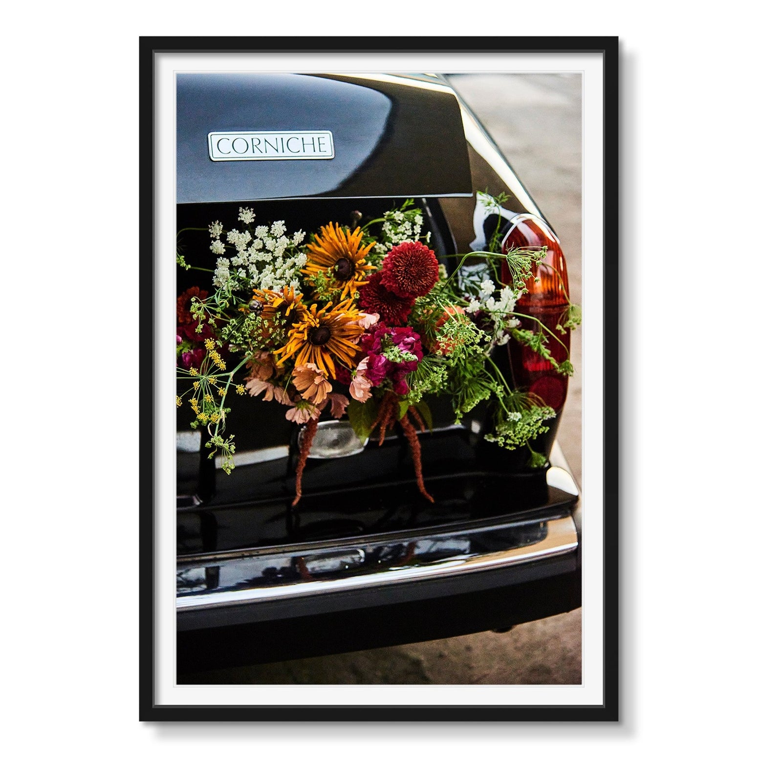 CORNICHE/CORNICOPIA - Beauty Of Impermanence