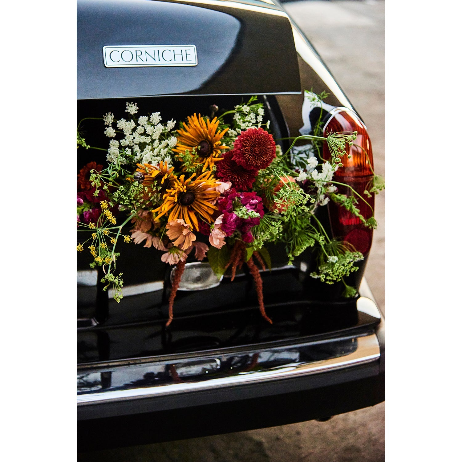 CORNICHE/CORNICOPIA - Beauty Of Impermanence