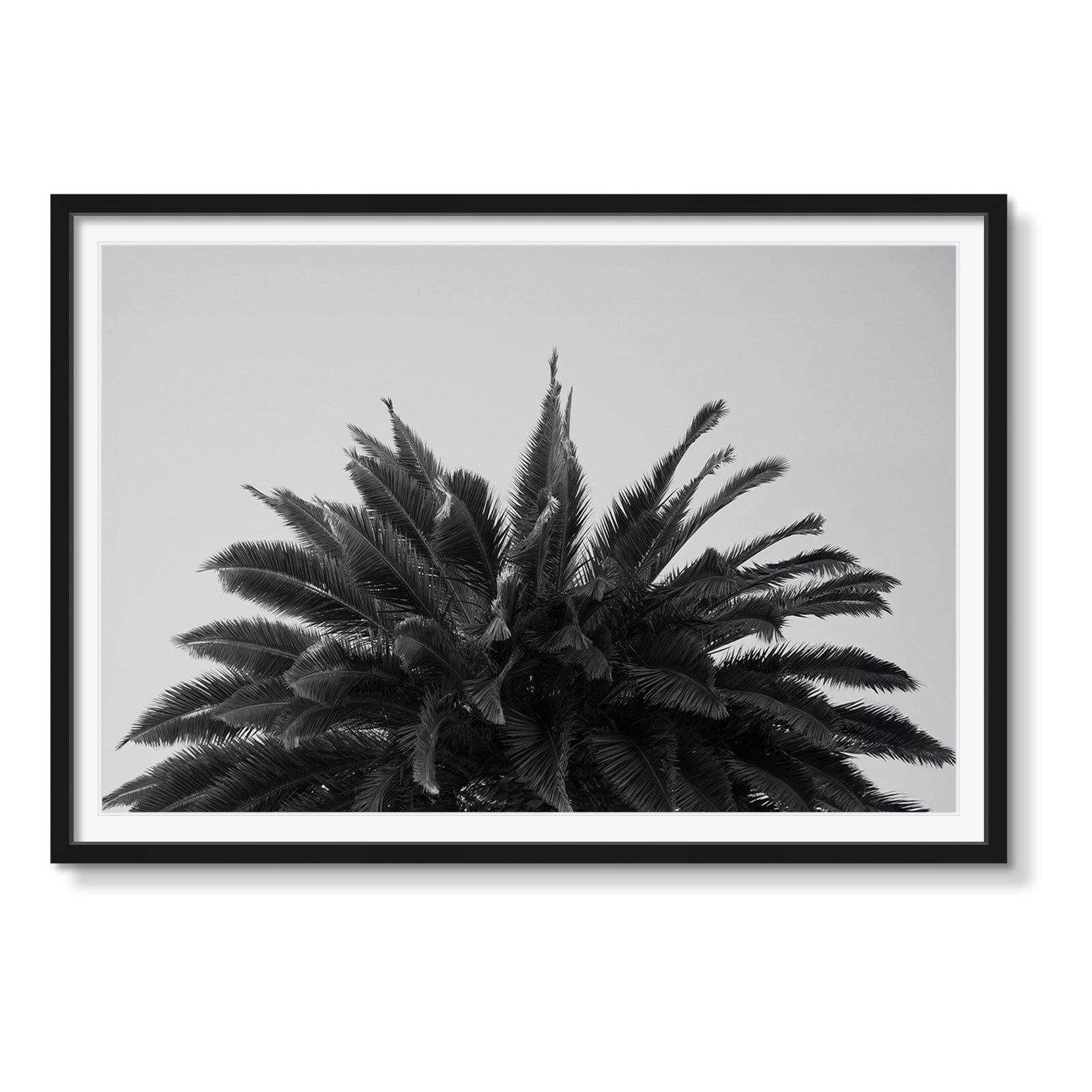 CREST - Beauty Of Impermanence