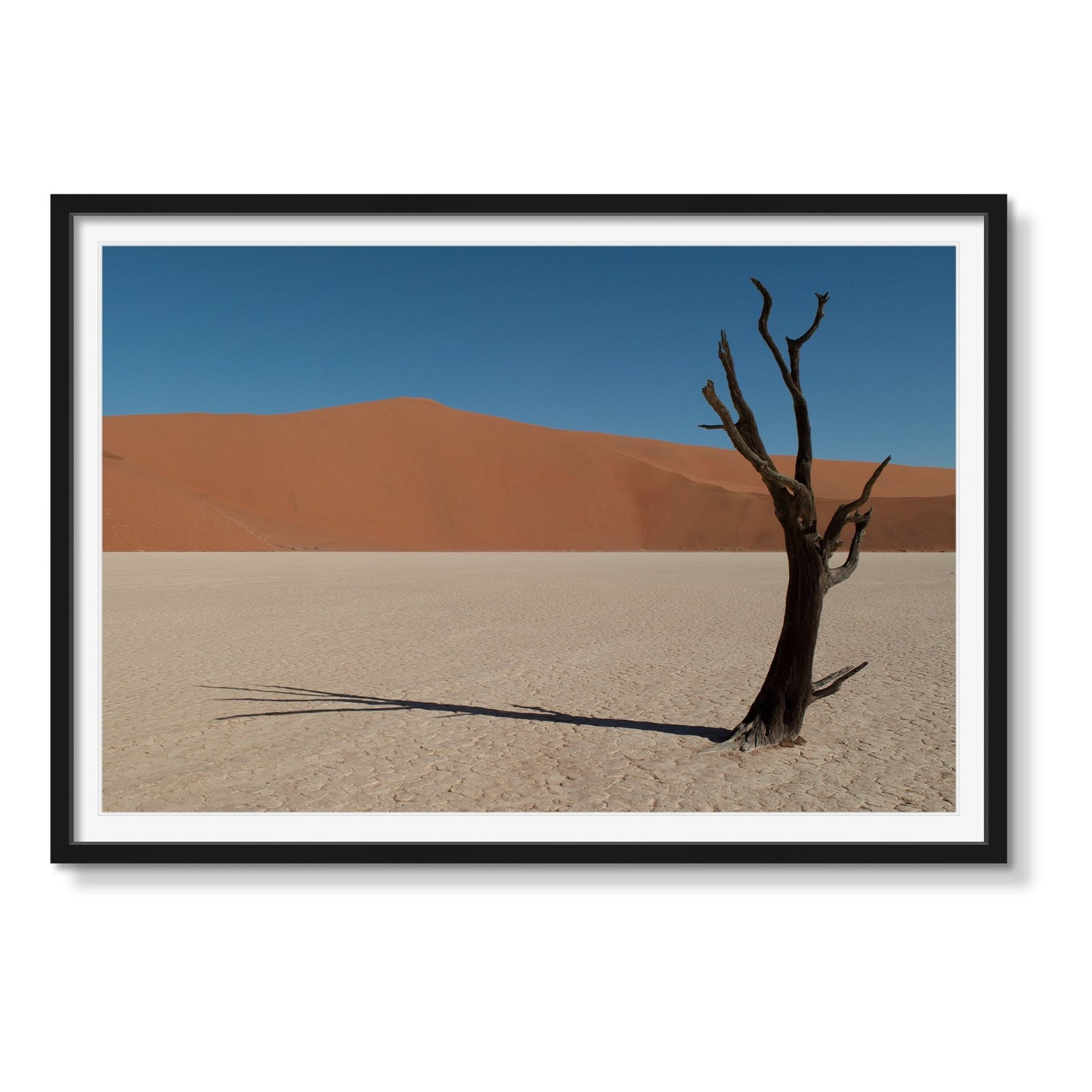 DEAD VLEI 1 - Beauty Of Impermanence