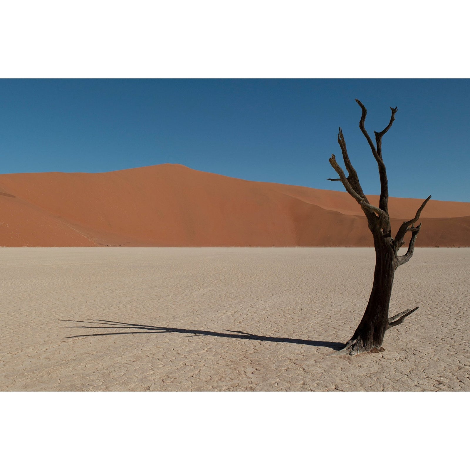 DEAD VLEI 1 - Beauty Of Impermanence