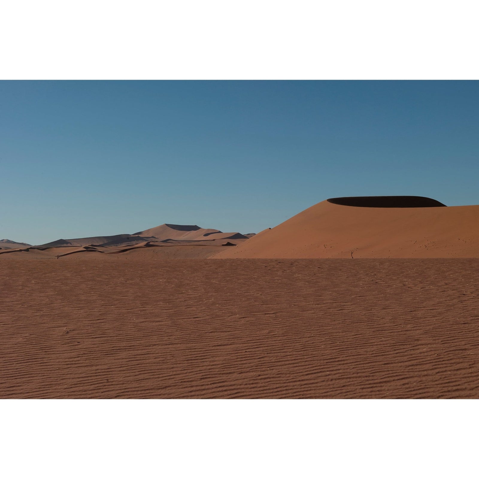 DEAD VLEI 3 - Beauty Of Impermanence