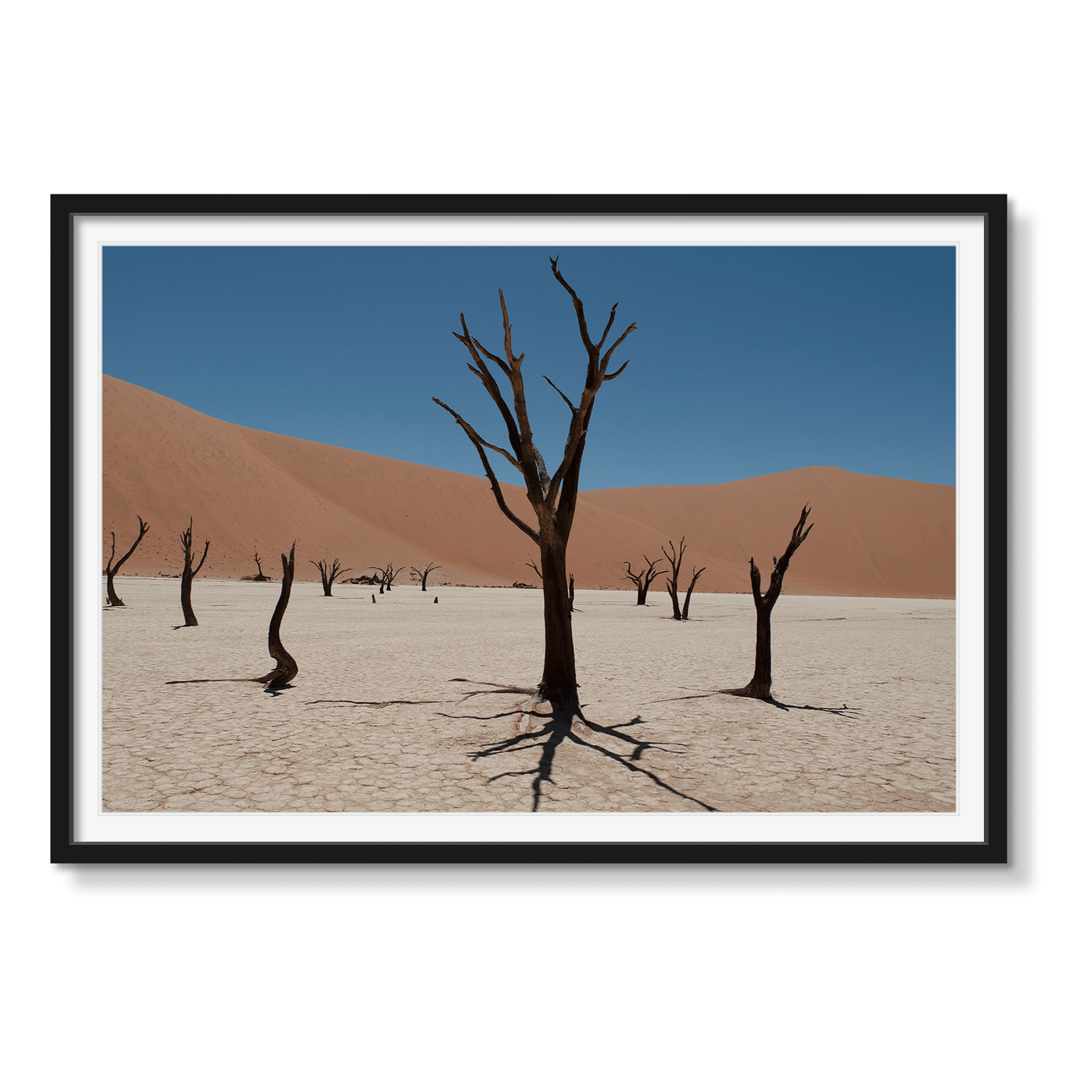 DEAD VLEI 5 - Beauty Of Impermanence