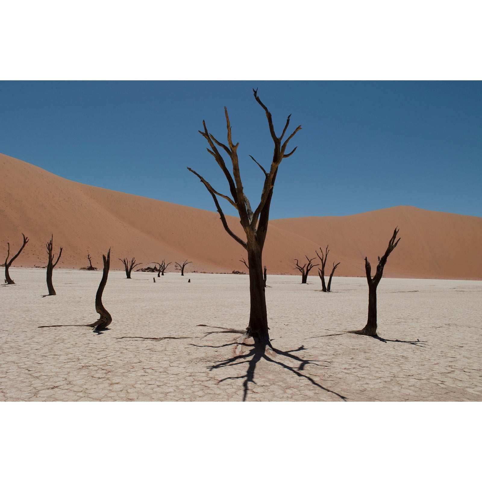 DEAD VLEI 5 - Beauty Of Impermanence