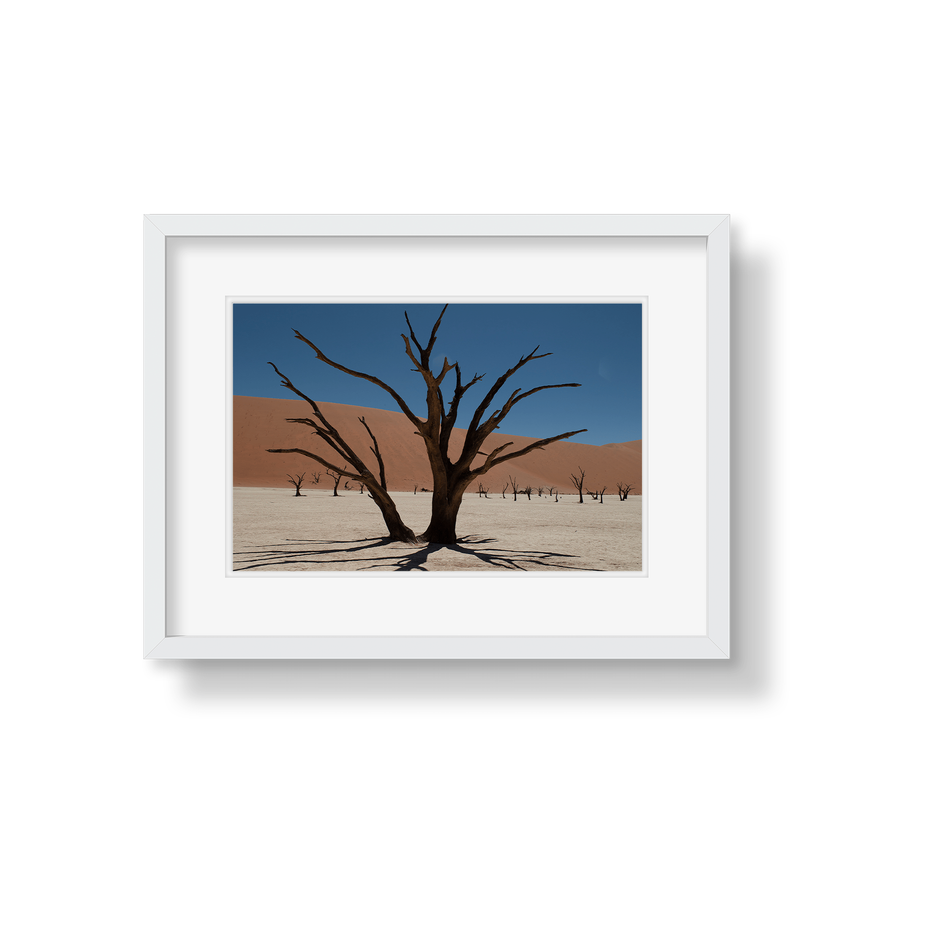 DEAD VLEI 6 - Beauty Of Impermanence