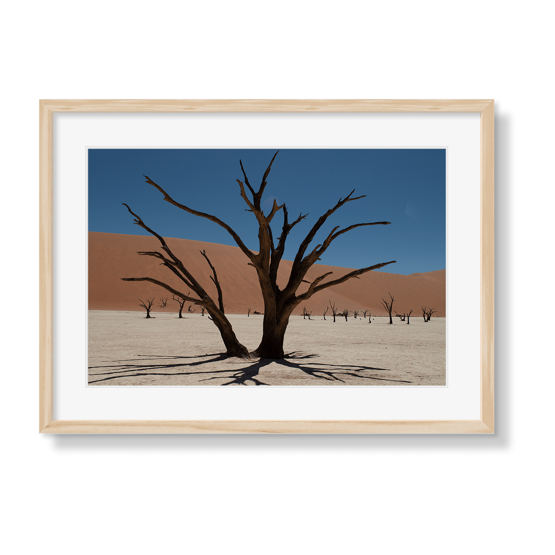 DEAD VLEI 6 - Beauty Of Impermanence