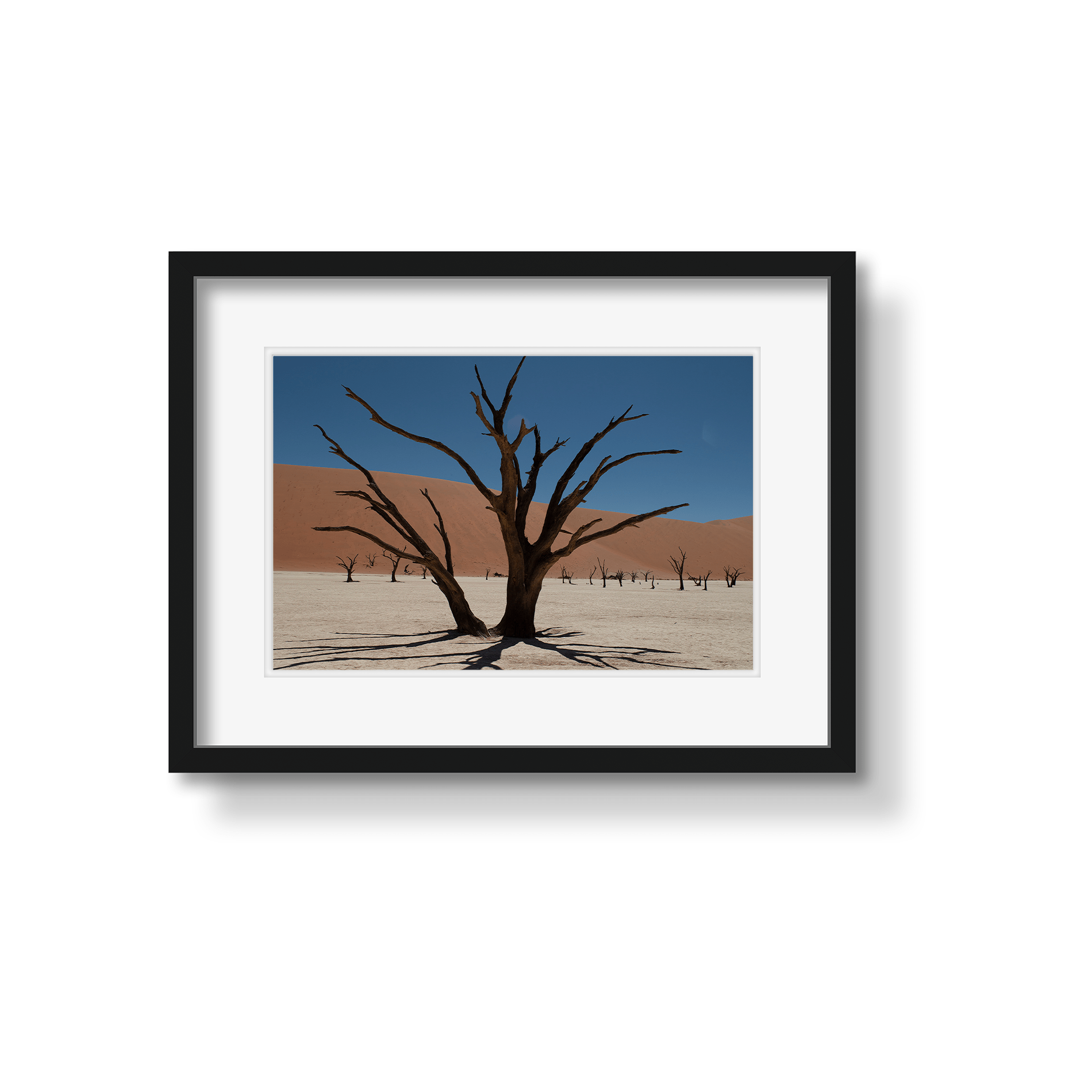 DEAD VLEI 6 - Beauty Of Impermanence