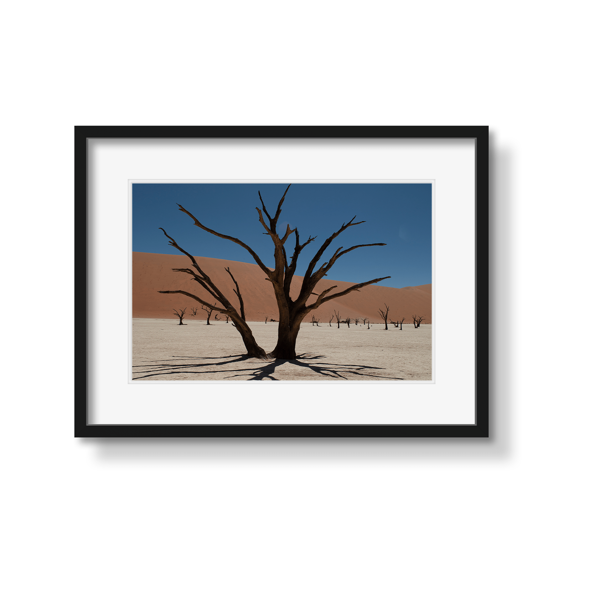 DEAD VLEI 6 - Beauty Of Impermanence