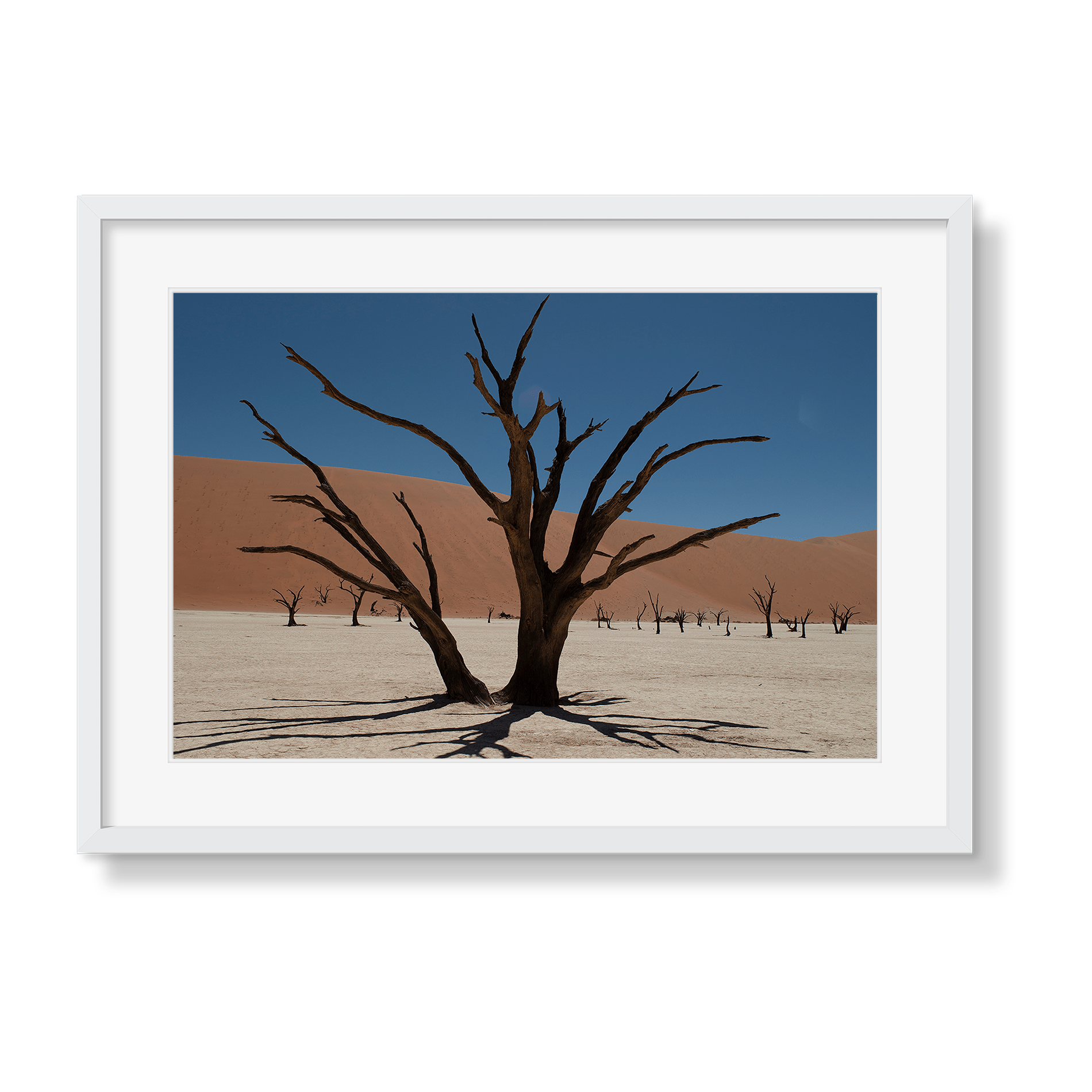 DEAD VLEI 6 - Beauty Of Impermanence