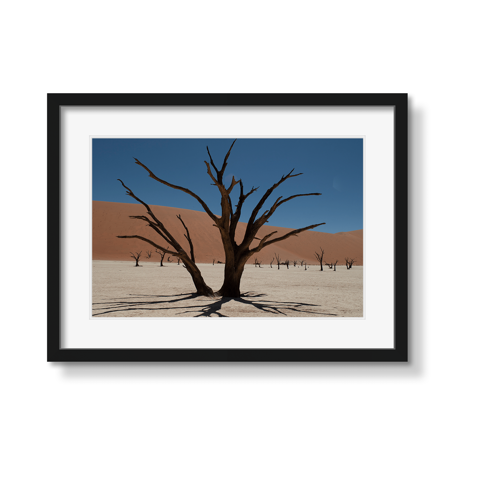 DEAD VLEI 6 - Beauty Of Impermanence