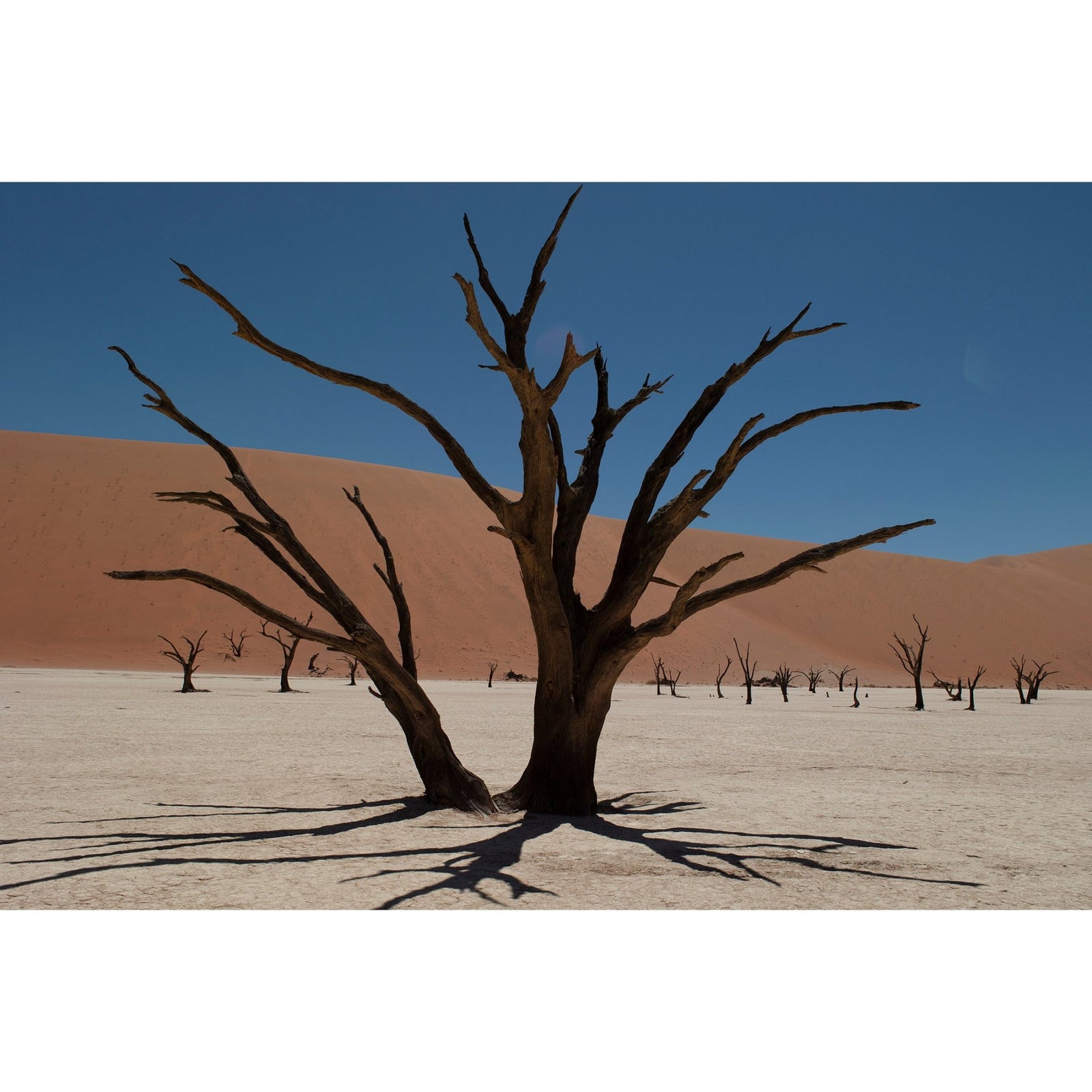DEAD VLEI 6 - Beauty Of Impermanence