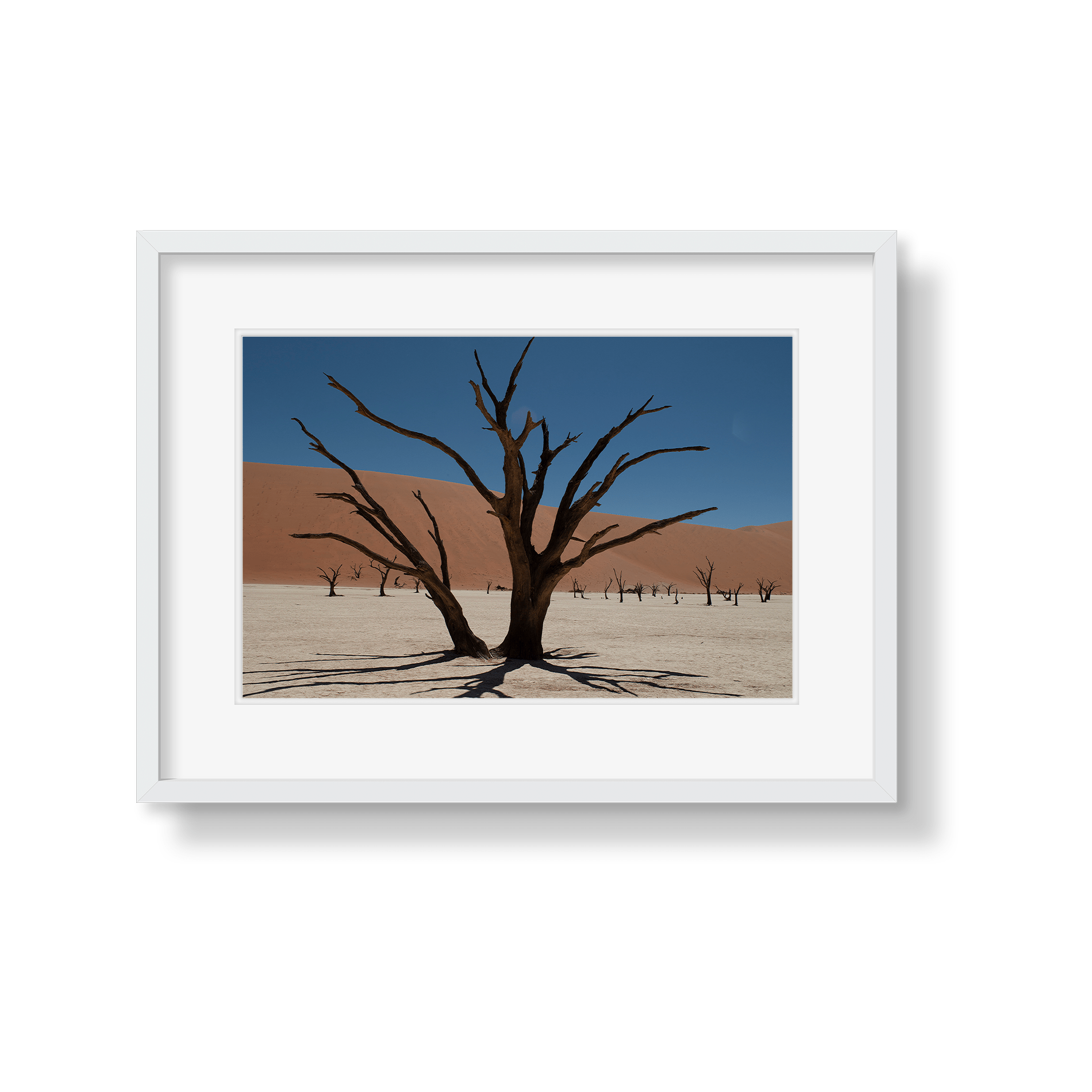 DEAD VLEI 6 - Beauty Of Impermanence