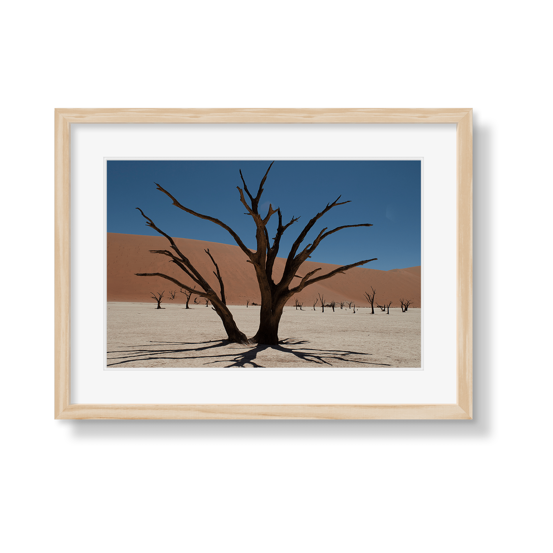 DEAD VLEI 6 - Beauty Of Impermanence