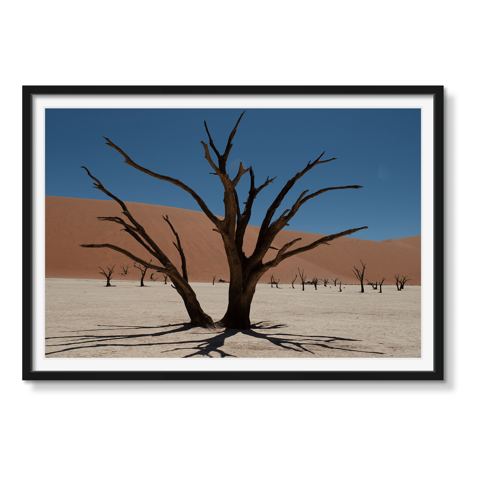 DEAD VLEI 6 - Beauty Of Impermanence