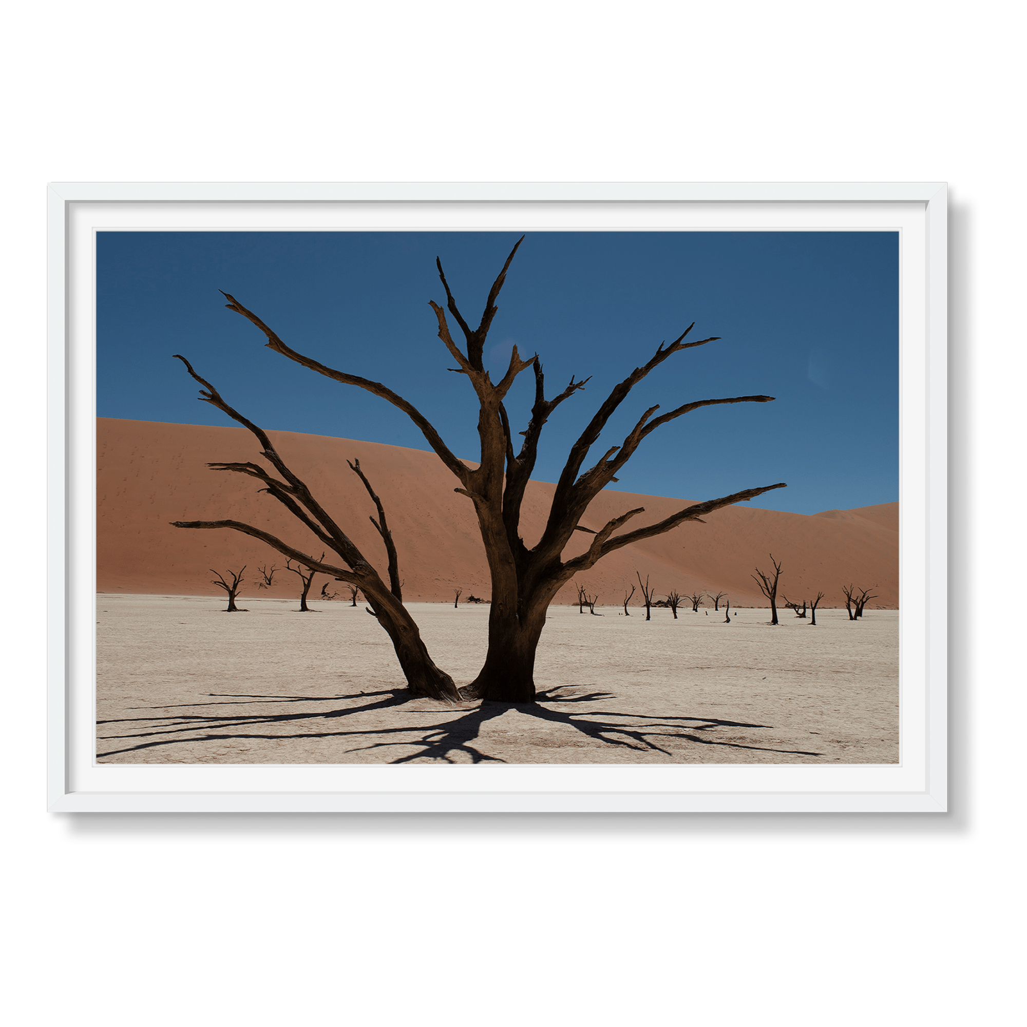 DEAD VLEI 6 - Beauty Of Impermanence