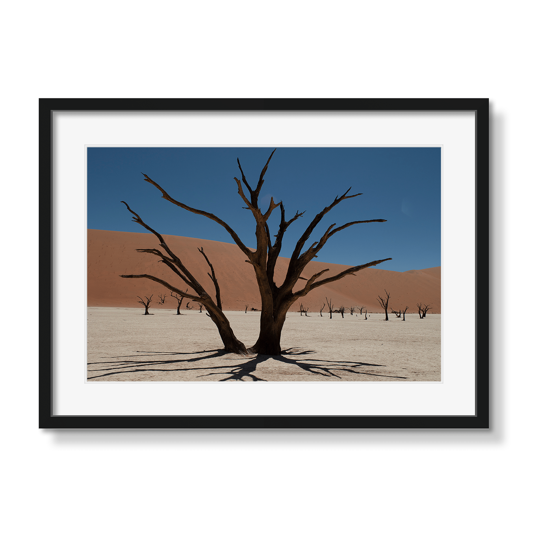 DEAD VLEI 6 - Beauty Of Impermanence