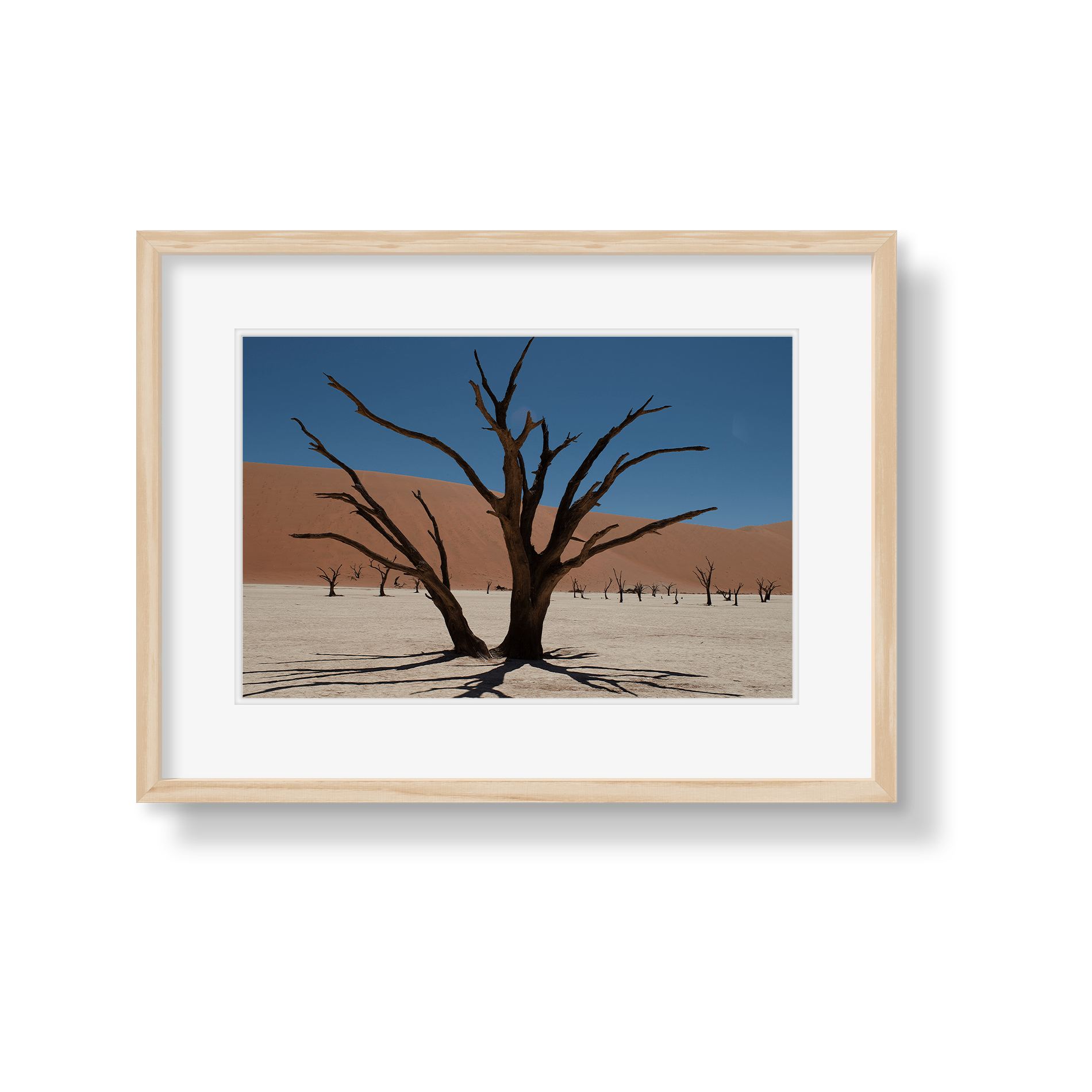 DEAD VLEI 6 - Beauty Of Impermanence