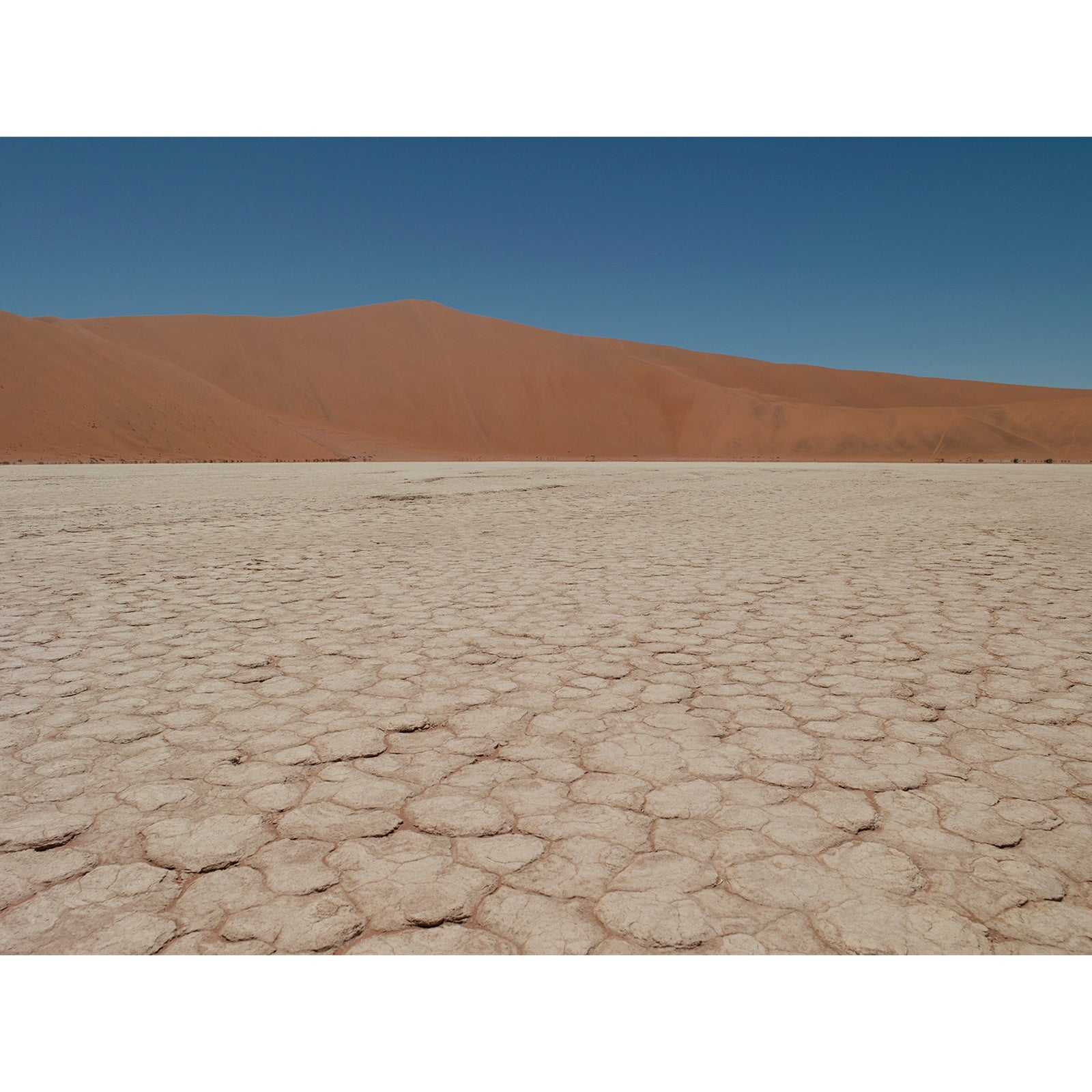 DEAD VLEI 7 - Beauty Of Impermanence